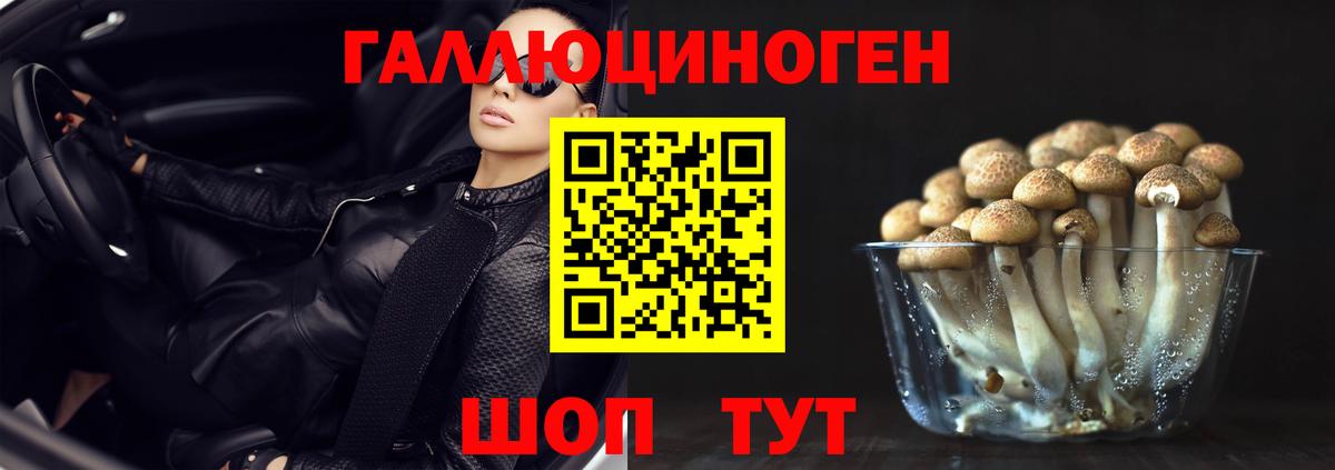 цены наркотик  Вход с VPN  Курск  Псилоцибиновые грибы Psilocybe 